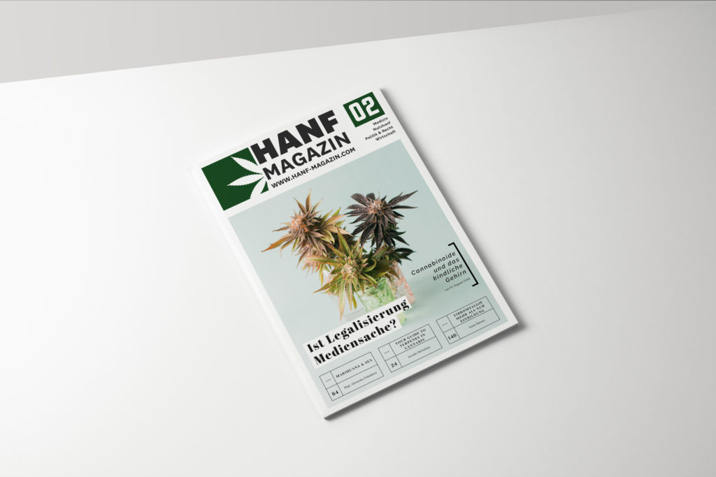 Download a4_magazine_mockup_cover_perspective - cannamedia